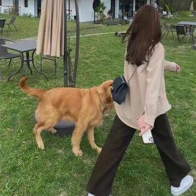 黑白潜行